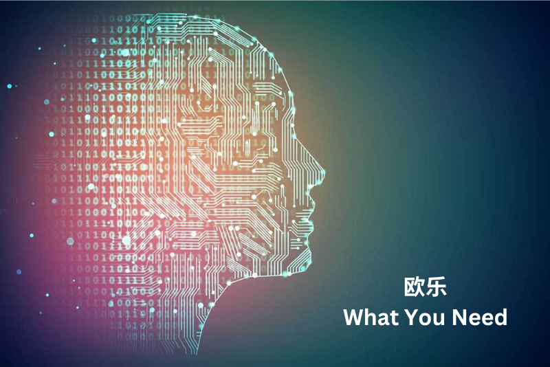 欧乐: What You Need To Know